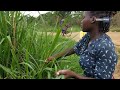 La vie de village en ouganda afrique