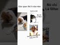 #quan sao nó nhìn được vậy🤯🤯🤯