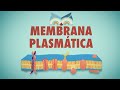Membrana Plasmática - Toda Matéria