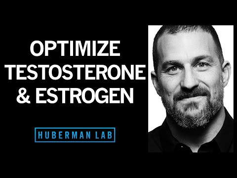 The Science of How to Optimize Testosterone & Estrogen | Huberman Lab Podcast #15