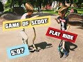 | Game of Scoot | Flat Ride |