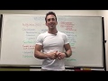 Neurotransmitters and Their Functions