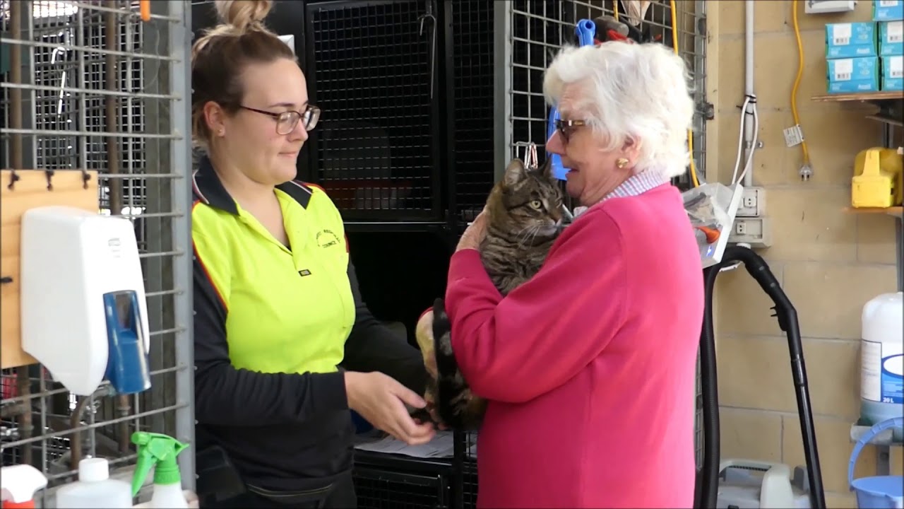 Bathurst Small Animal Pound You Bathurst Small Animal Pound You