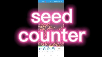 Automatic Seed Counter - Wheat