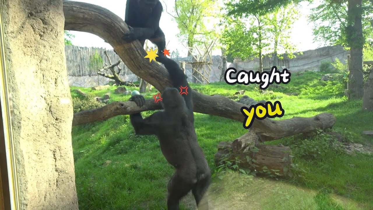 Pepe wants to roughly grab Boboto💦💦🥲| The Kidogo’s Family