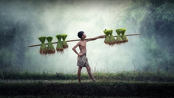 Ninja Run animation exercise