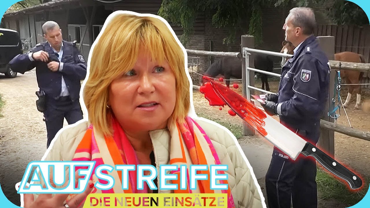 Ich Glaub Mich Tritt Ein Pferd Bedeutung Ich glaub', mich tritt ein Pferd! 😮 🐎 Brutaler Anschlag auf dem