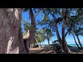 Sherwood beach  oahu hawaii 4k