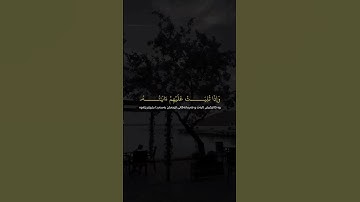القارئ ابوبكر الشاطري #سورة_الأنفال