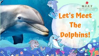 Let's Learn About Dolphins! | preschool learning videos- sea animals (why are dolphins mammals?) by Chrysaellect India 2,548 views 1 year ago 3 minutes, 23 seconds