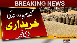 Wheat In Punjab | Latest Updates | Farmer In Pakistan | Latest News | Pakistan News