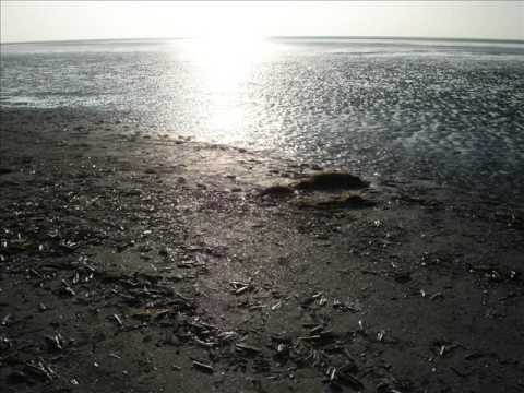 Vaterunser.wmv contemporary art ตัวอย่าง