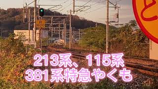 『電車』381系特急やくも！213系普通列車 ！115系普通列車！