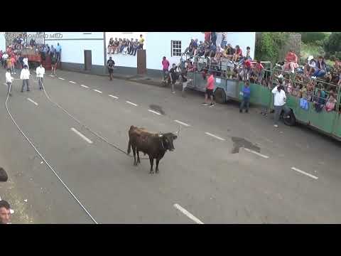Tourada à corda em Saboda Festas Santo Antonio da Vitoria, 26 de agosto de 2023