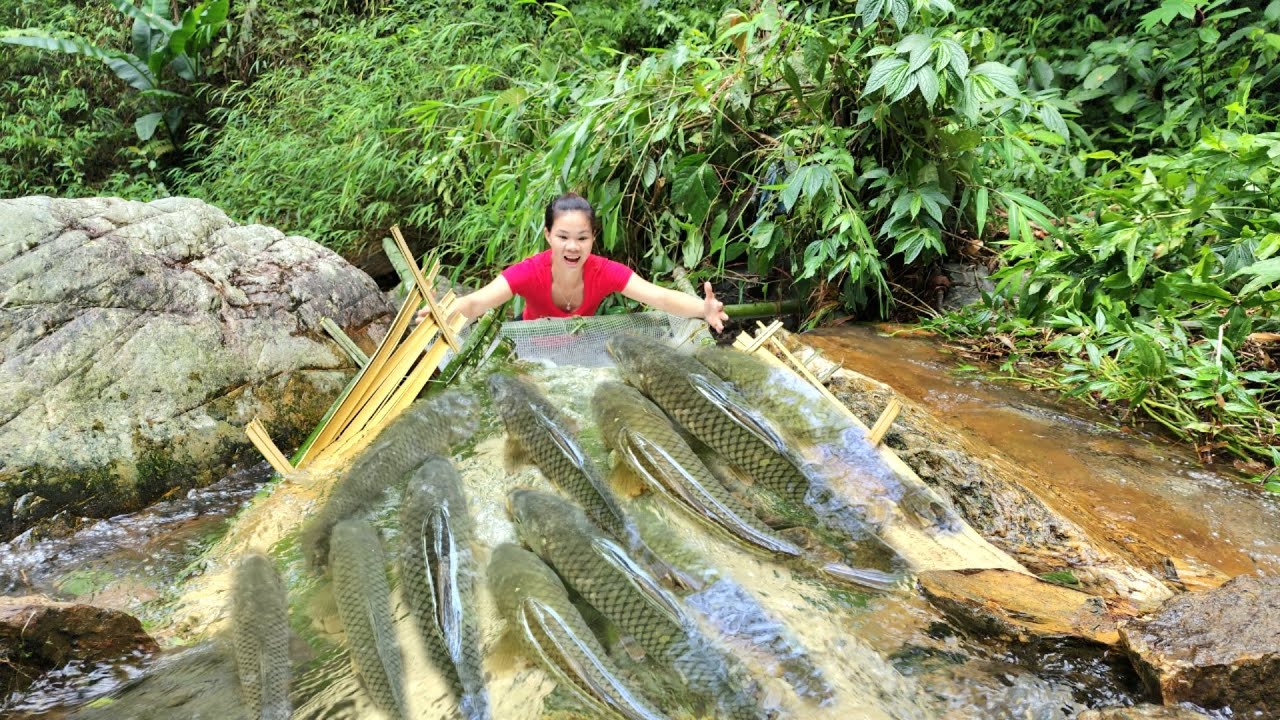 Ana used woven bamboo to make primitive fish traps and caught a lot of ...