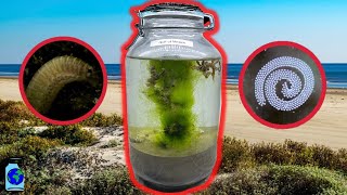 I Put Ocean Water In A Jar, Here's What Happened