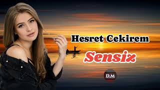 Həsrət Cekirem Sensiz-2024{Cox Super Sevgi Mahnısi)#yenivideolar #trendvideolar