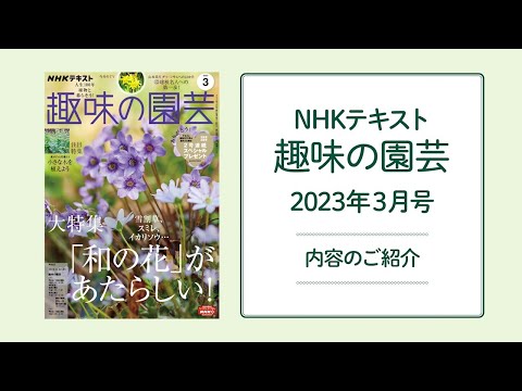 本まとめ売り 趣味の園芸 食彩浪漫 今日の健康 他 本まとめ売り