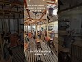 New York  State Museum #nystatemuseum #albany #albanyny #carouselride #thingstodoinalbany #nystate