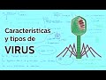 Características y tipos de Virus - Biología - Educatina