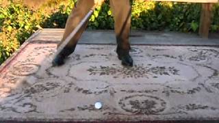 Holding Shaft Flex Through Impact 1000 Frames per Second/ Advanced Ball Striking