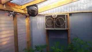 kaweah co-op garden report no.13