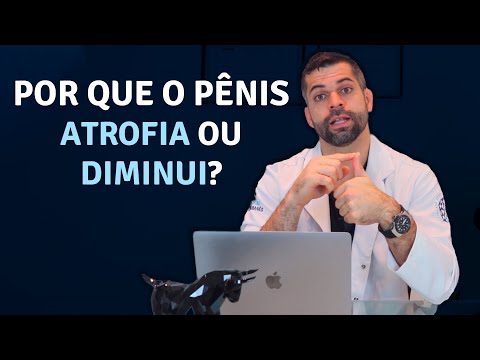 Vídeo: Estudo: donos de animais propensos a sofrer de depressão quando os animais de estimação estão doentes