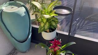 Bamworld Tall Plant Stand Indoor Outdoor – 4 Tier Heavy Duty Corner Metal Flower Pot Stands