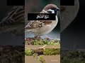 suratul Juha wazuha #funny #gameskhelkarpaisekai #home #ekmotahathighumechala #interiordesign