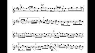 Gruzanka Kolo Budimir Jovanovic, Izvodi Zoran Vlajic