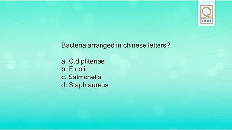 MedTech | MTLE | ASCPi | AMT | Lab Exam Review | Lofi Music LIVE