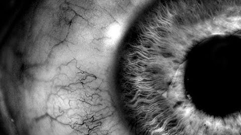 CylancePROTECT® vs. Furtim