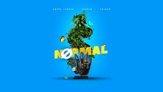 Entre Linhas x Leozin x Thiago - NORMAL (Prod. Jay Kay) 💵