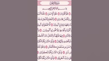 تلاوة خاشعة ومؤثرة لسورة الرحمن #اكسبلور #المصحف #duet #الرحمن #حالات_واتس #اعتني #راحة_نفسية