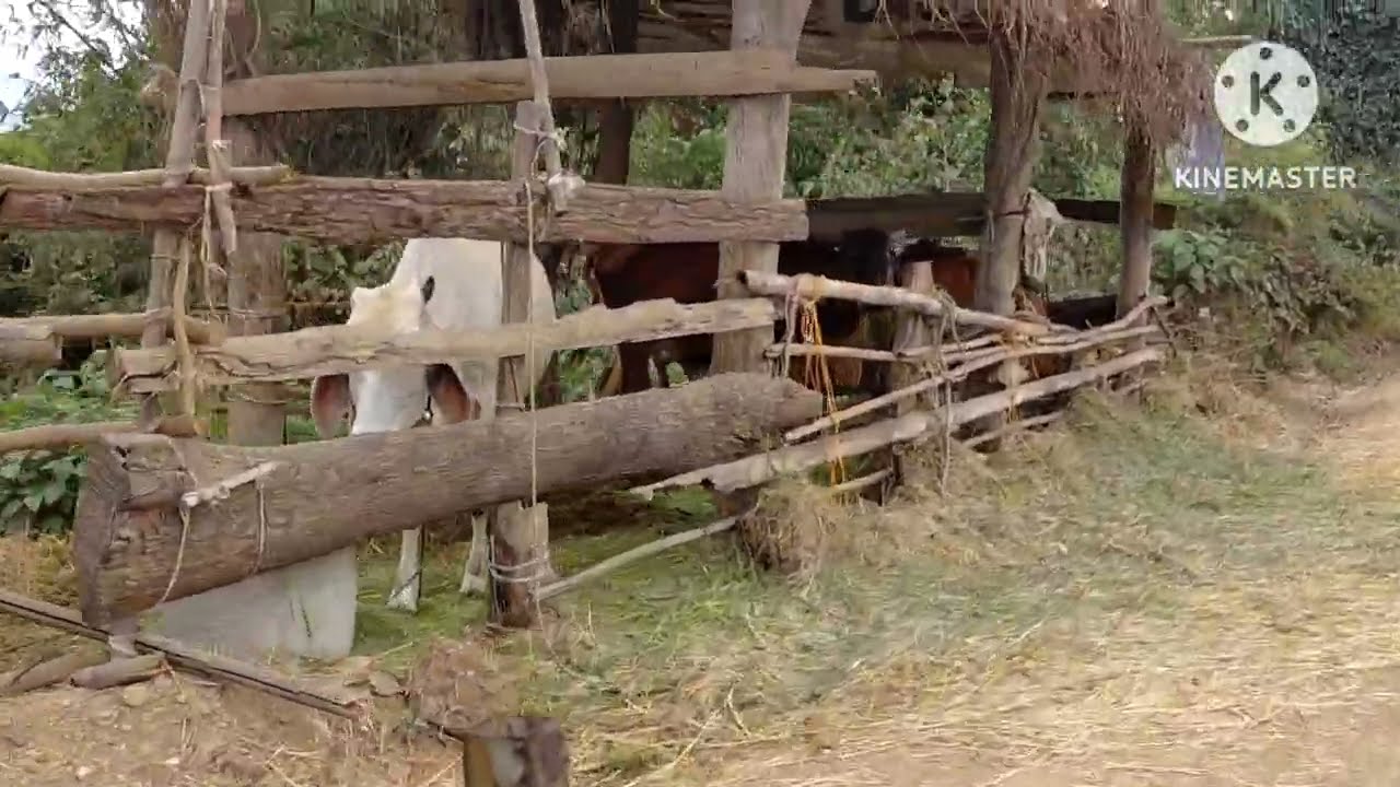 ชนบทภาคเหนือ