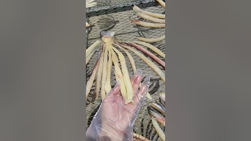 Cha Phơi Khô Cá Dứa Biển - Bếp Nhà Kiều