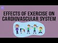 EFFECTS OF EXERCISE ON CARDIOVASCULAR SYSTEM | PHYSIOLOGY | Malayalam | Bio Ocean by Sheethal Maria