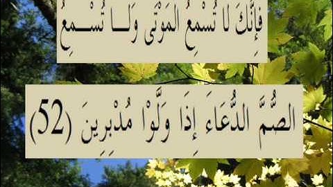 القران الكريم سورة الروم الأية 52.wmv
