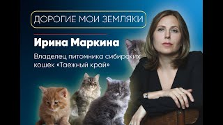 Ирина Маркина, владелец питомника сибирских кошек «Таежный край»/ «Дорогие мои земляки»