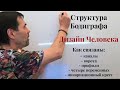 Структура бодиграфа. Важные моменты. Дизайн Человека.