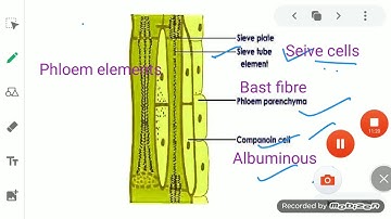 ClassIX Science 23 05 2020 by Ms Mridulata Upadhyay