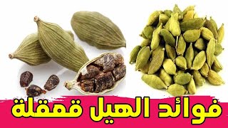 فوائد بذور الهيل قعقلة