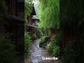 Rain is the earth’s quiet music. #rain #meditationmusic  #soothingrelaxationrelaxing #sleep