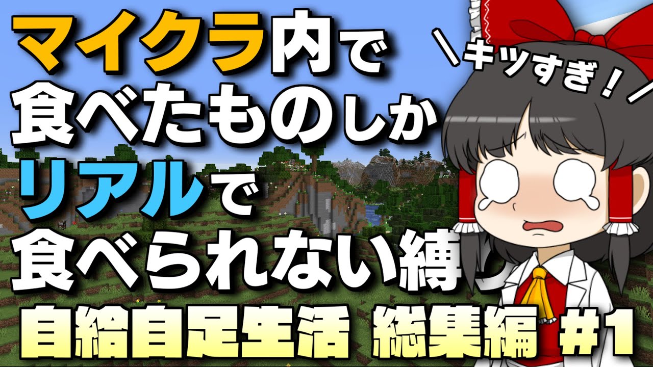 【一気見用 総集編】マイクラ史上　最もツラい縛りプレイ！ マイクラ内で食べたものしかリアルで食べられない縛り！【自給自足生活 総集編 #前編】【Minecraft】【マイクラ】