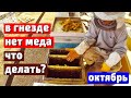 Сборка гнезд Как УС собралась зимовать Как посчитать сколько пойдет пчелы в зиму.