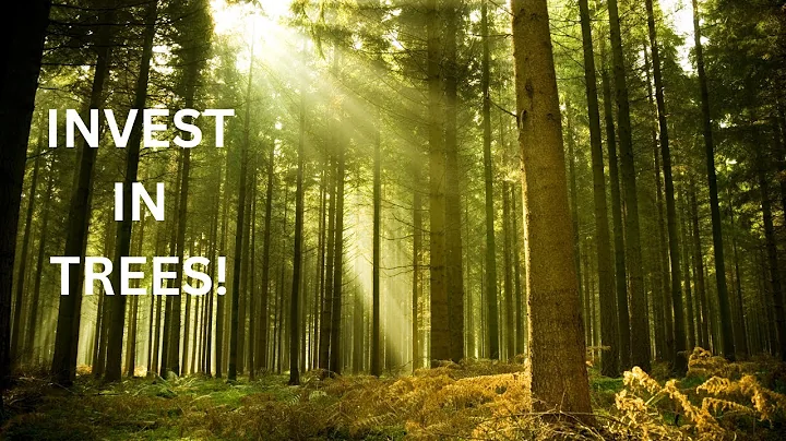 Grow Your Wealth with Trees: The Ultimate Forestry Investment Guide!