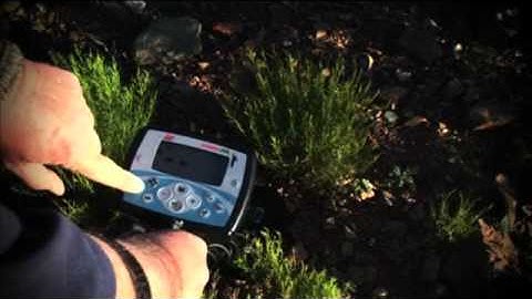 Getting Started with the Minelab X-TERRA 705 Gold Pack Detector