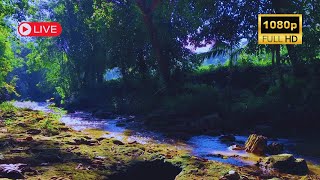 RELAXING AND MEDITATION MUSIC, SOOTHING MUSIC WITH SOFT MUSIC to DEEP SLEEP