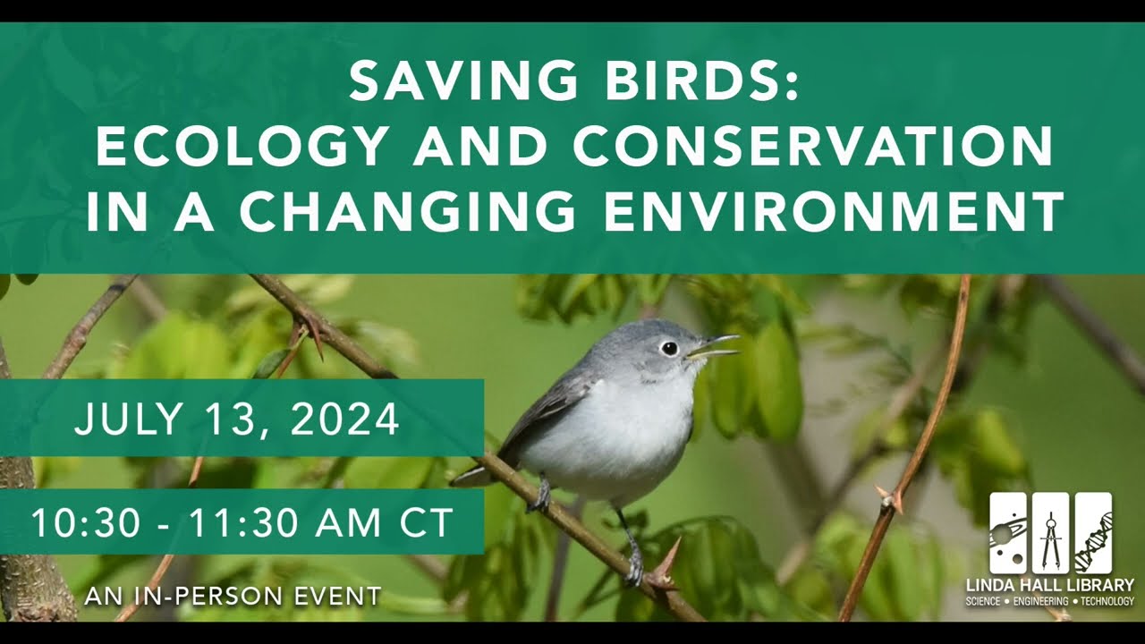 Saving Birds: Ecology and Conservation in a Changing Environment