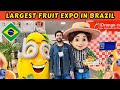 I visited brazils largest fruit expo  business in brazil  pakistani in brazil